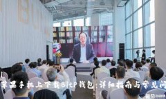 overall如何在苹果手机上下载BitP钱包：详细指南与