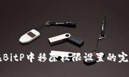 如何在BitP中移除权限设置的完整指南