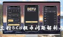 比特派不支持BCH提币问题解析与解决方案