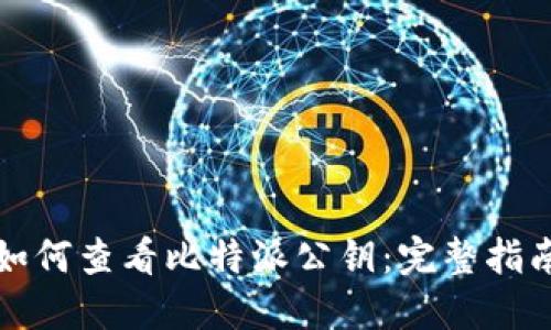 如何查看比特派公钥:完整指南