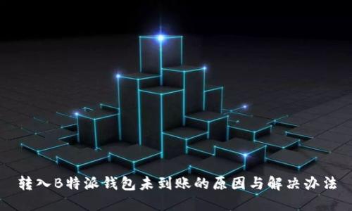 转入B特派钱包未到账的原因与解决办法