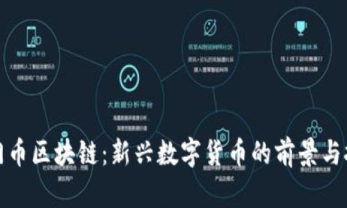 沙门币区块链：新兴数字货币的前景与挑战