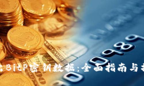 如何导出BitP密钥数据:全面指南与操作步骤