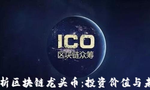 
深入解析区块链龙头币：投资价值与未来展望