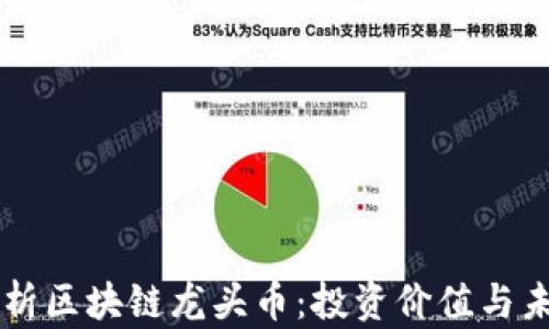 
深入解析区块链龙头币：投资价值与未来展望