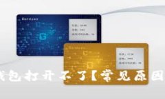 为什么BK钱包打开不了？常见原因及解决办法