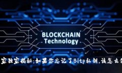 专家独家揭秘：如果你忘记了Bitp私钥，该怎么做