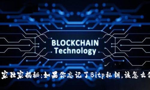 专家独家揭秘：如果你忘记了Bitp私钥，该怎么做？