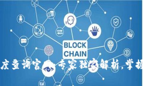 区块链提币进度查询官网：专家独家解析，掌握秘诀轻松追踪