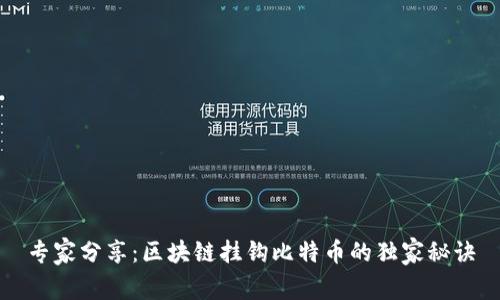 专家分享：区块链挂钩比特币的独家秘诀