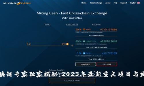 北京区块链专家独家揭秘：2023年最新重点项目与发展趋势