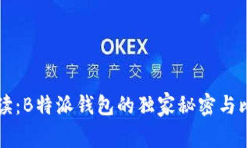 专家解读：B特派钱包的独家秘密与比较分析