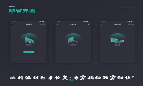比特派钥匙串恢复：专家揭秘独家秘诀!