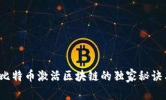 专家揭秘：比特币激活区块链的独家秘诀与未来