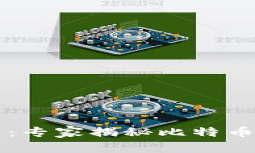 区块链简史：专家揭秘比特币的独家秘诀