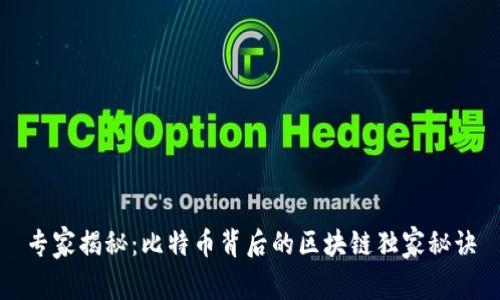 专家揭秘：比特币背后的区块链独家秘诀