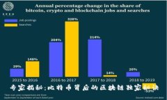 专家揭秘：比特币背后的区块链独家秘诀