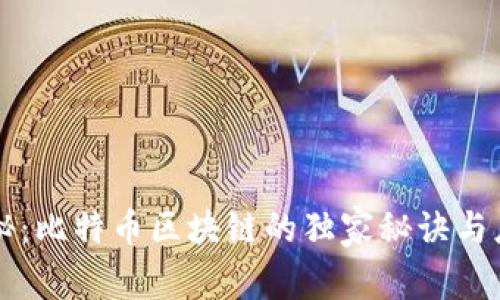 专家揭秘：比特币区块链的独家秘诀与应用分析