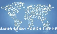 区块链之母币揭秘：专家独家分享投资秘诀