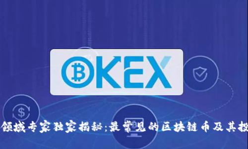 区块链领域专家独家揭秘：最常见的区块链币及其投资秘诀