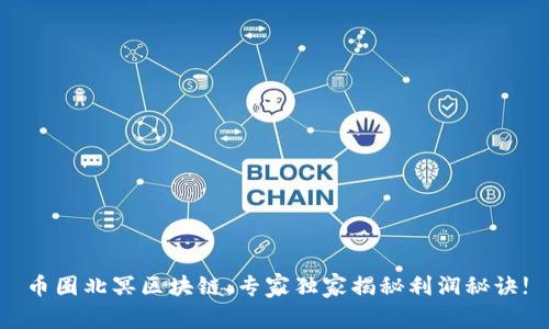币圈北冥区块链：专家独家揭秘利润秘诀!
