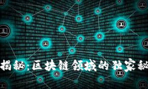 链塔智库专家揭秘：区块链领域的独家秘诀与最新信息