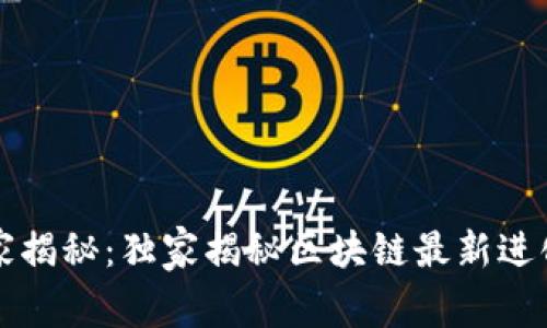 区块链专家揭秘：独家揭秘区块链最新进化史的秘诀