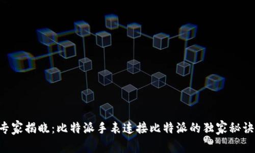 专家揭晓：比特派手表连接比特派的独家秘诀！
