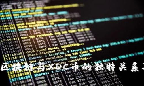 专家解密：R3区块链与XDC币的独特关系及其潜在机遇