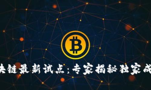 三星区块链最新试点：专家揭秘独家成功秘诀！