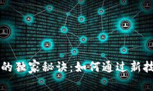 专家揭示区块链捐款的独家秘诀：如何通过新技术提升透明度与效率