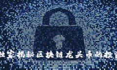 专家独家揭秘区块链龙头币的投资秘诀