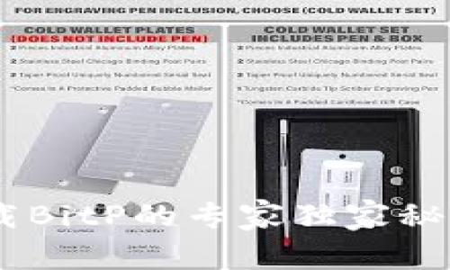 苹果手机下载BitP的专家独家秘诀，轻松掌握！