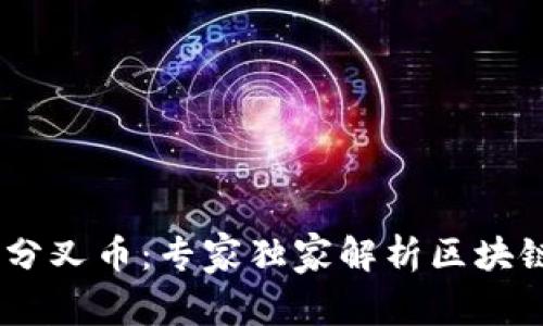 揭秘以太坊分叉币：专家独家解析区块链APP的秘诀