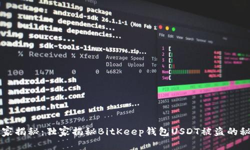 专家揭秘：独家揭秘BitKeep钱包USDT被盗的秘诀