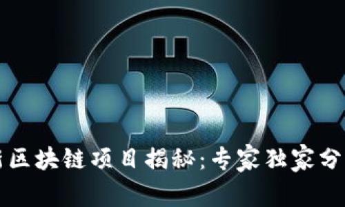 2025年最新区块链项目揭秘：专家独家分享成功秘诀！