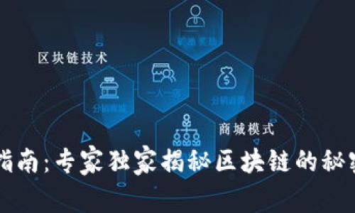 区块链导航指南：专家独家揭秘区块链的秘密与应用秘诀