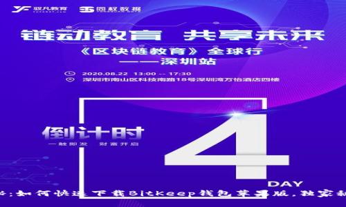 专家揭秘：如何快速下载BitKeep钱包苹果版，独家秘诀分享！