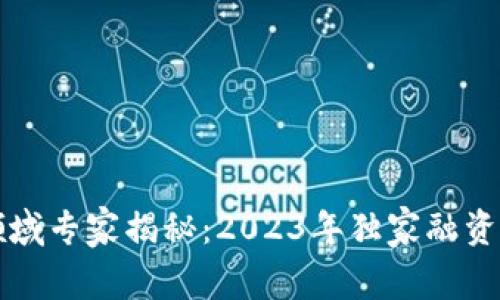 区块链领域专家揭秘：2023年独家融资模式秘诀