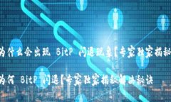 为什么会出现 BitP 闪退现象？专家独家揭秘！为