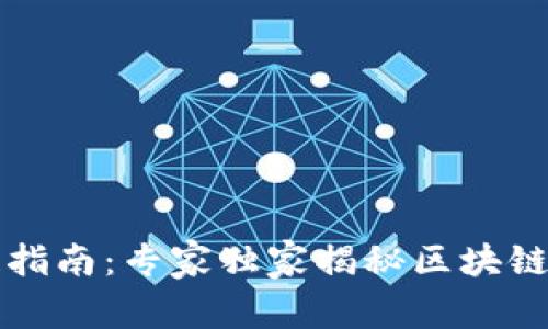 美国区块链指南：专家独家揭秘区块链发展的秘诀