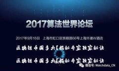 区块链币圈多大？揭秘专家独家秘诀区块链币圈