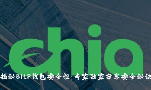 揭秘BitP钱包安全性：专家独家分享安全秘诀