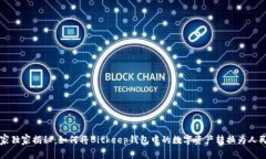 比特币专家独家揭秘：如何将Bitkeep钱包中的数字