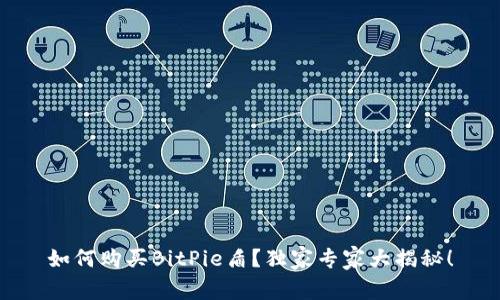 如何购买BitPie盾？独家专家大揭秘！