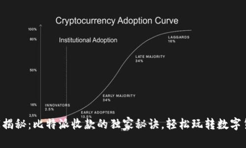专家揭秘：比特派收款的独家秘诀，轻松玩转数字货币！