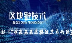 专家揭秘：PI币是未来区块链黑马的独家秘诀！