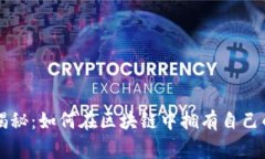 专家独家揭秘：如何在区块链中拥有自己的币的