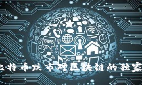 专家解读：比特币跌市对区块链的独家影响与秘诀