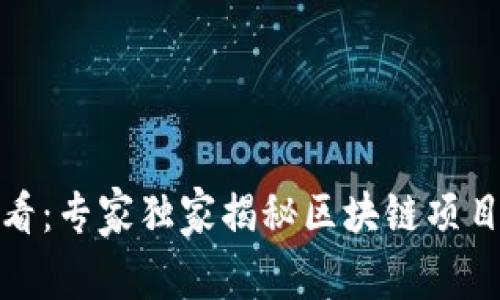 炒币必看：专家独家揭秘区块链项目的秘诀